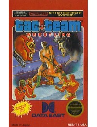 Nintendo NES Tag Team Wrestling (Cartridge Only)